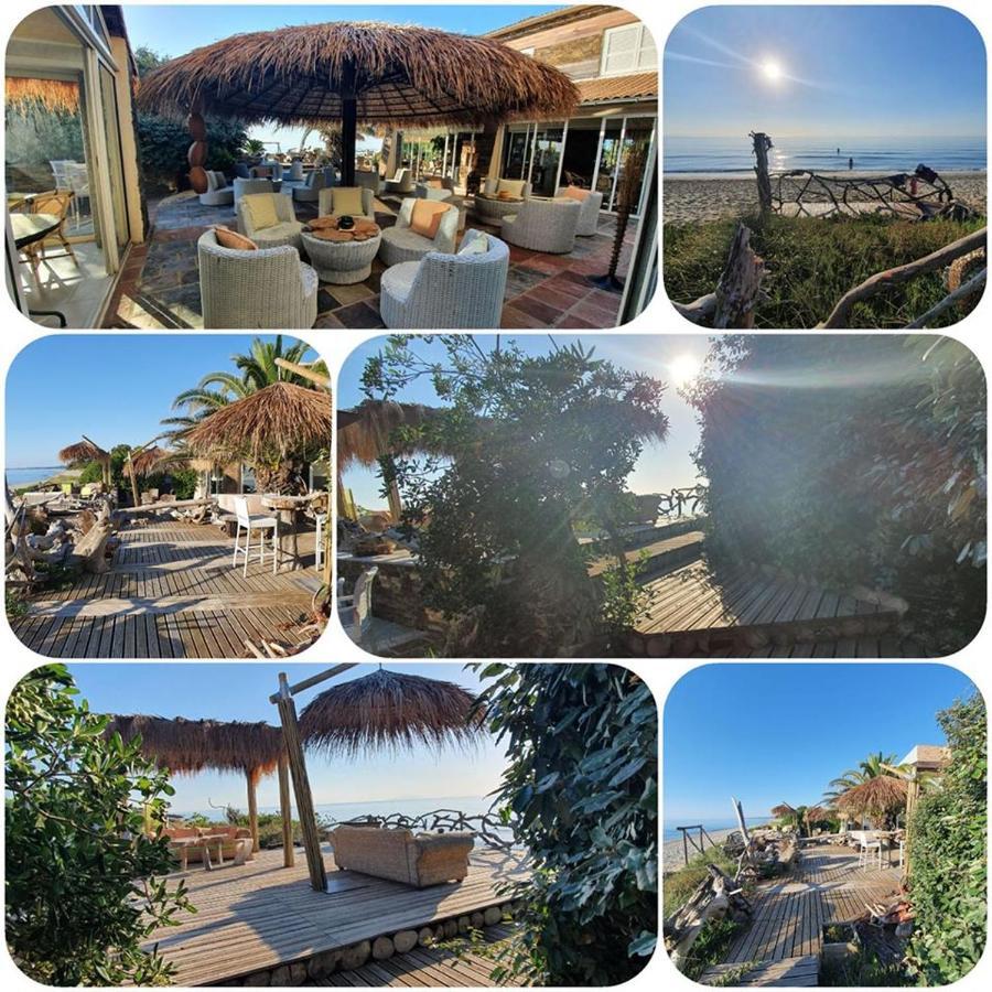 Levolle Marine Hotel Poggio Mezzana Екстериор снимка