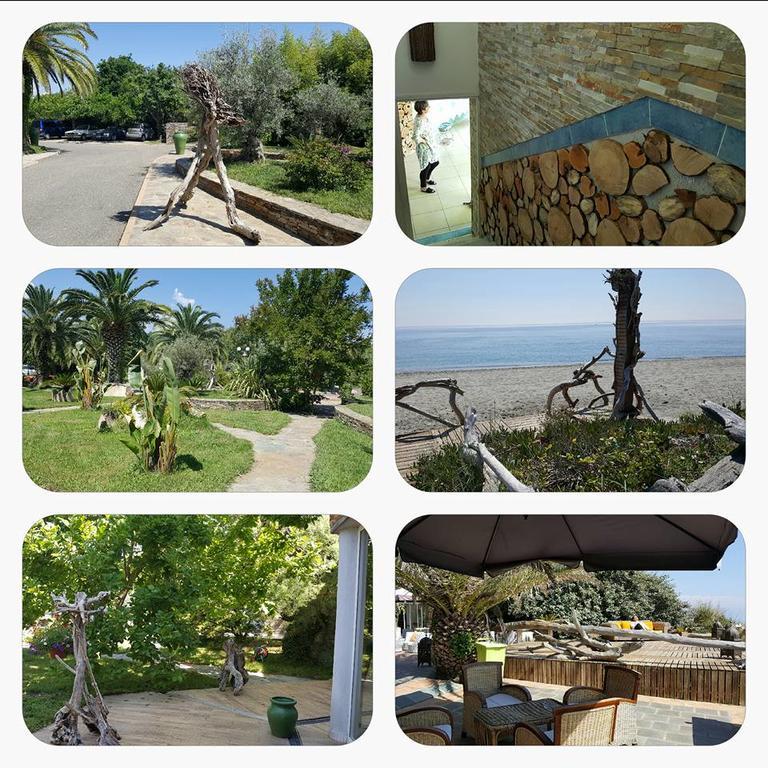 Levolle Marine Hotel Poggio Mezzana Екстериор снимка